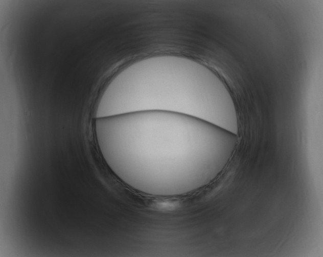X0000100390352200806060838