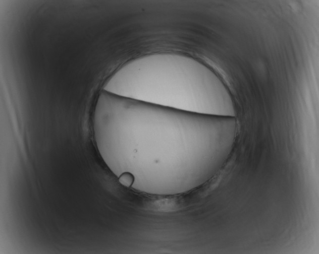 X0000100390353200806060838