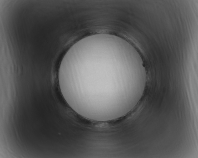 X0000100390355200806060838