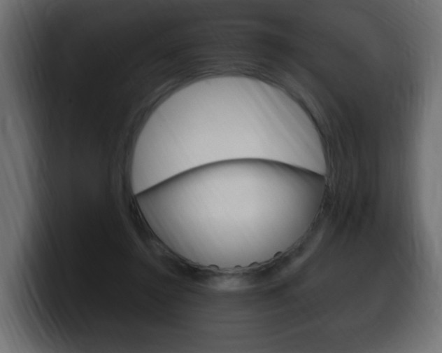 X0000100390356200806060838