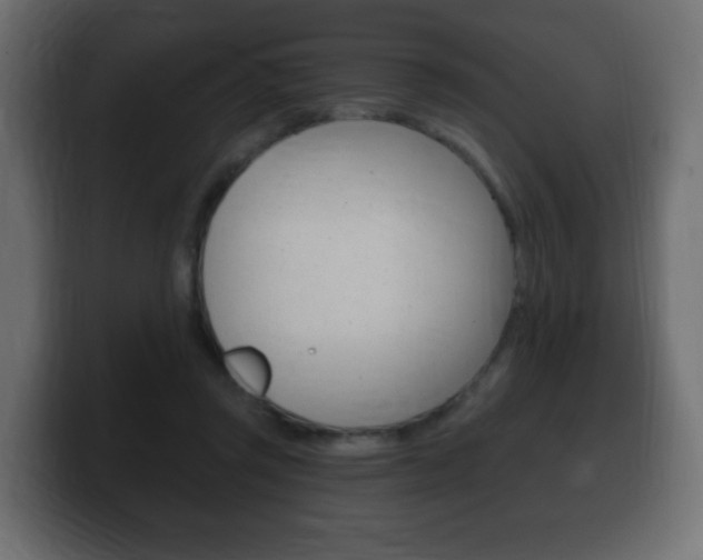 X0000100390357200806060838