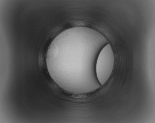 X0000100390359200806060838