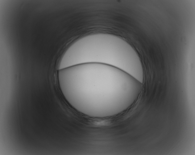 X0000100390360200806060838