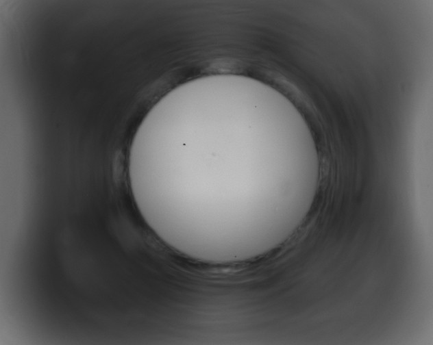 X0000100390361200806060838