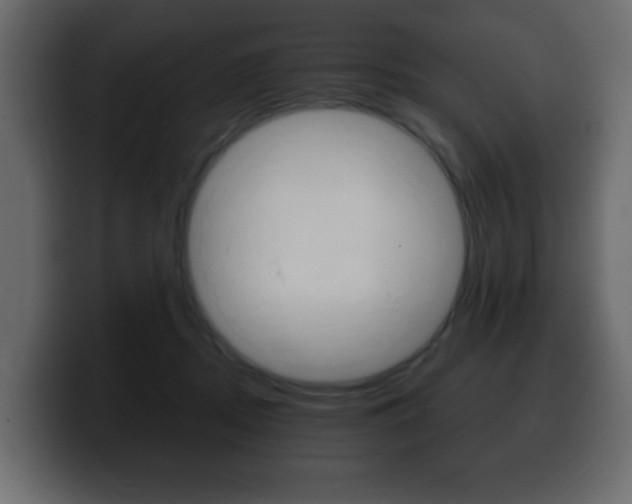 X0000100390362200806060838