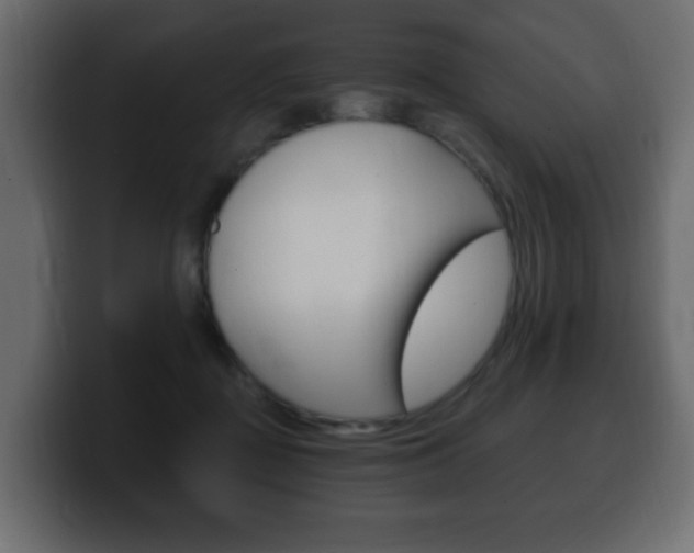 X0000100390363200806060838