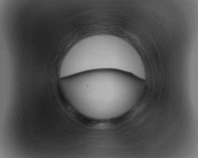 X0000100390364200806060838