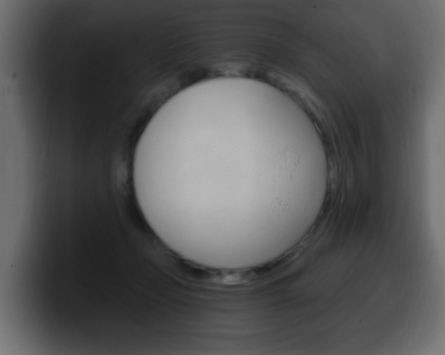 X0000100390365200806060838