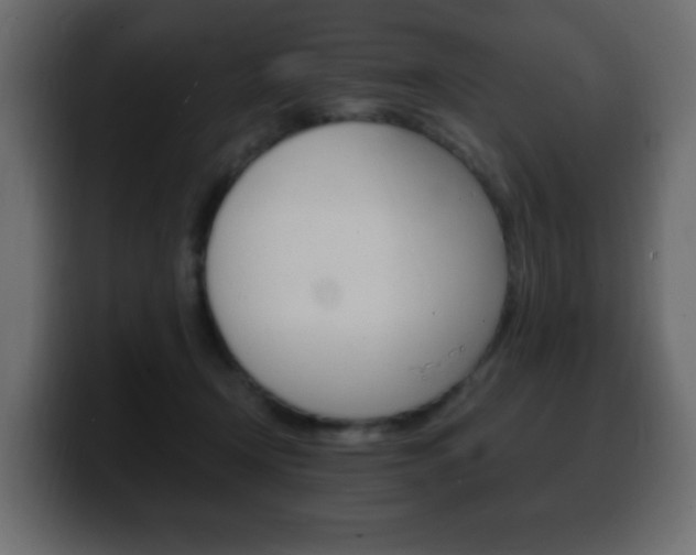 X0000100390366200806060838