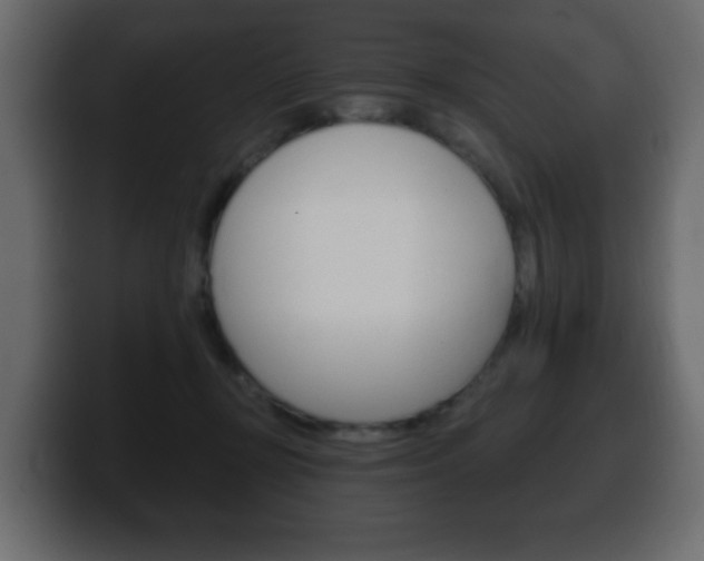 X0000100390367200806060838