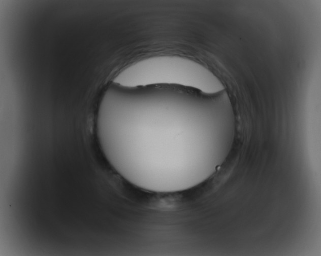 X0000100390368200806060838