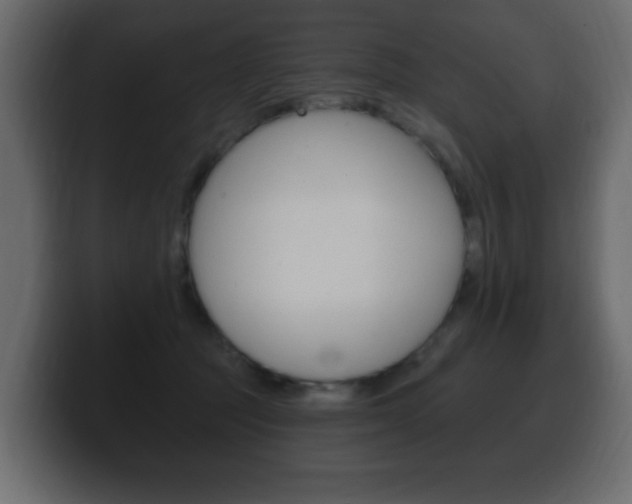X0000100390369200806060838