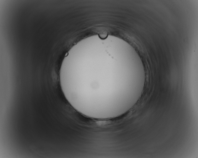X0000100390371200806060838