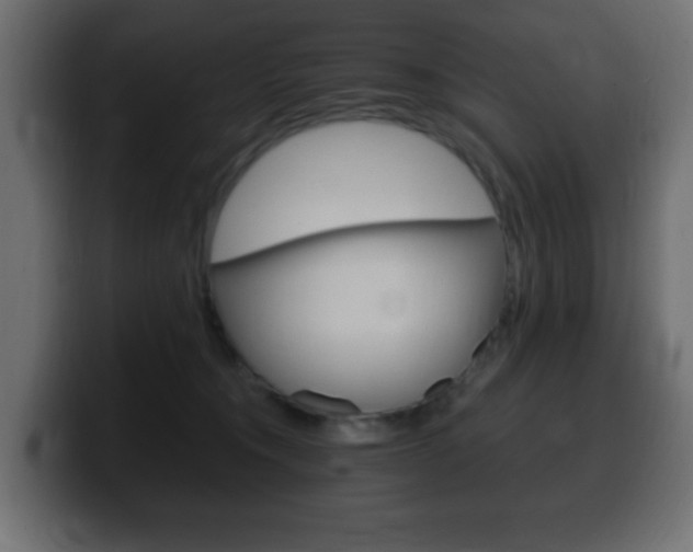 X0000100390372200806060838