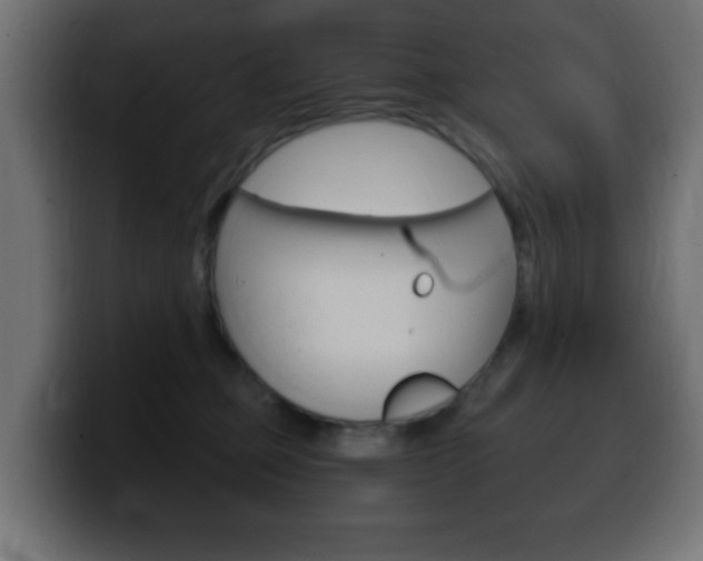 X0000100390373200806060838