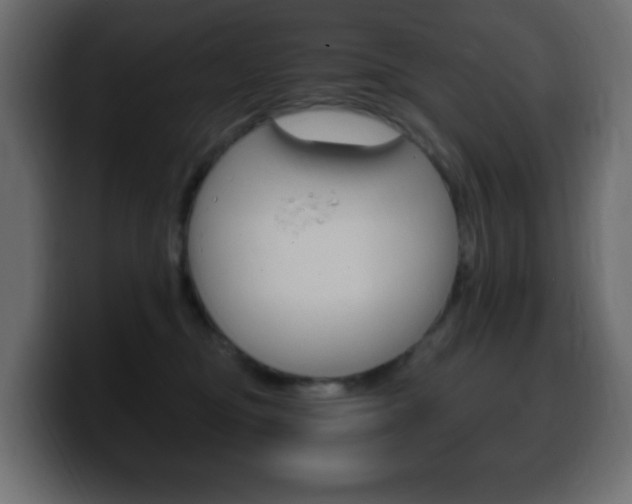 X0000100390374200806060838