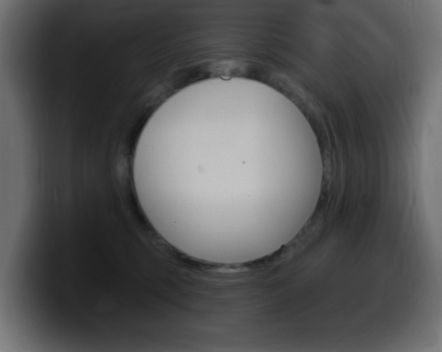 X0000100390375200806060838