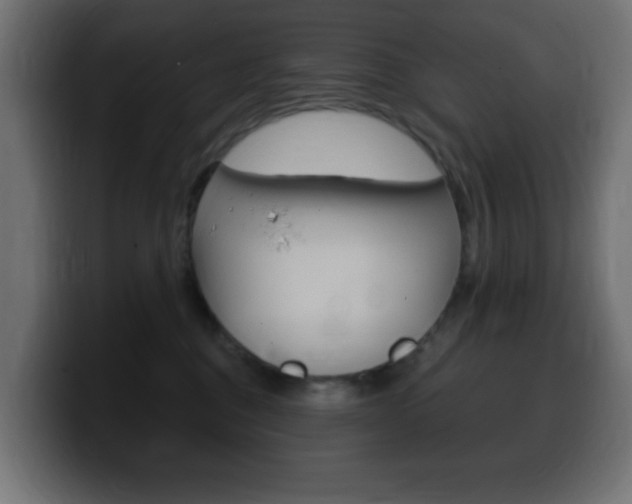 X0000100390376200806060838