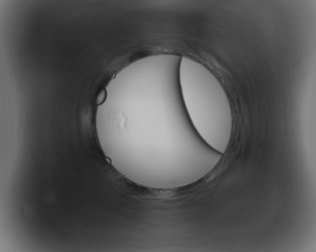 X0000100390377200806060838