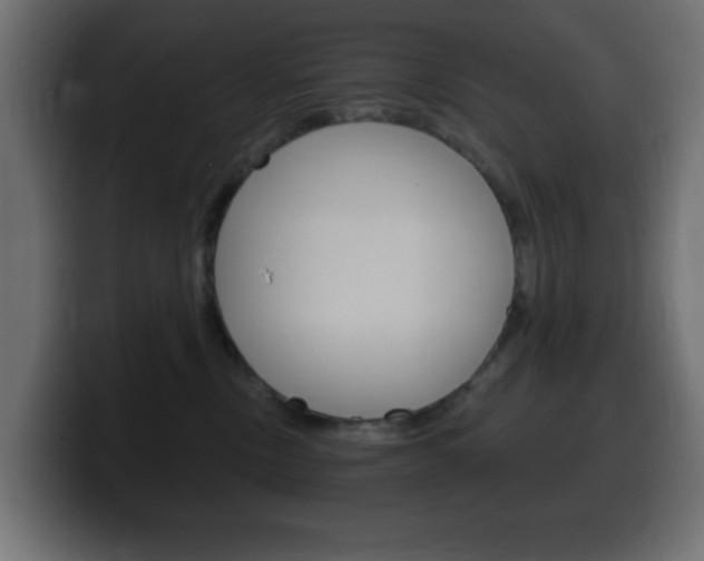X0000100390378200806060838