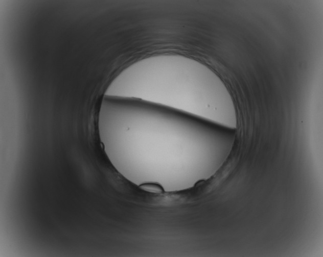 X0000100390379200806060838