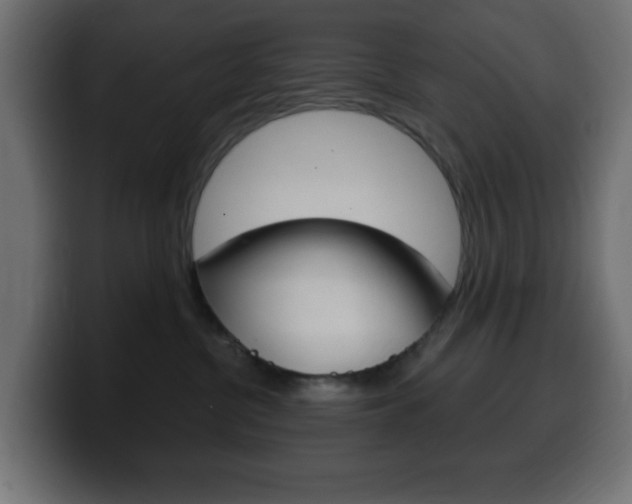 X0000100390380200806060838