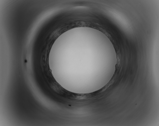X0000100390381200806060838