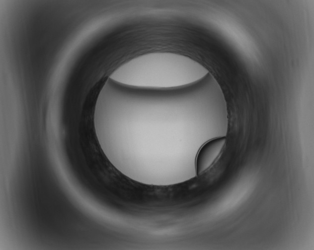 X0000100390383200806060839