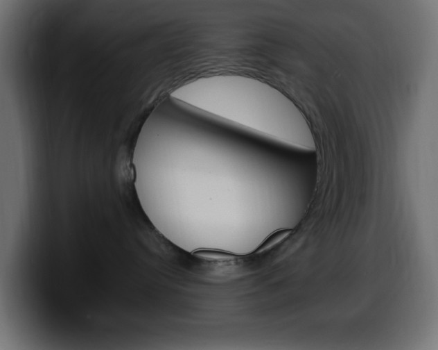 X0000100390384200806060839
