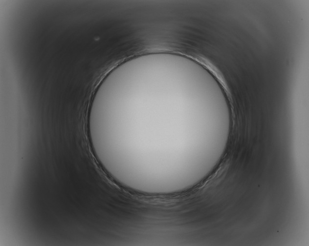 X0000100390385200806060838