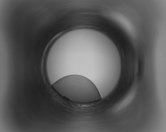 X0000100390387200806060838