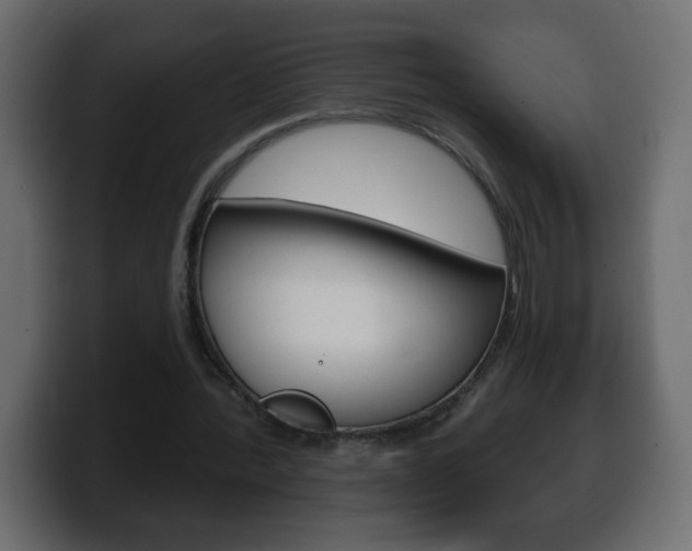 X0000100390388200806060838