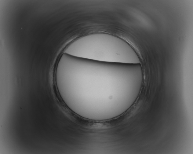 X0000100390390200806060838