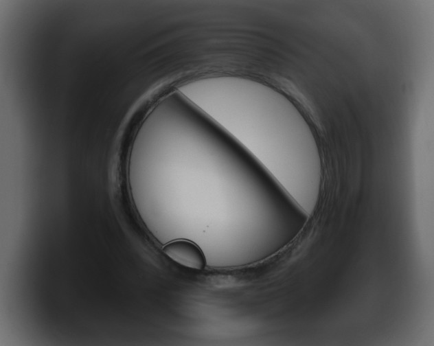 X0000100390392200806060838