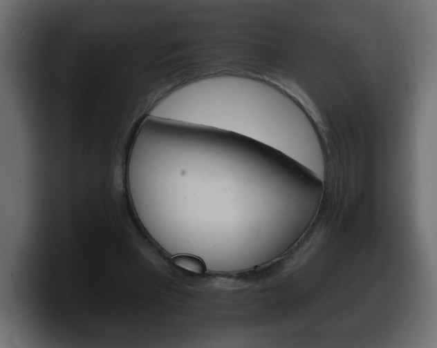 X0000100390393200806060838