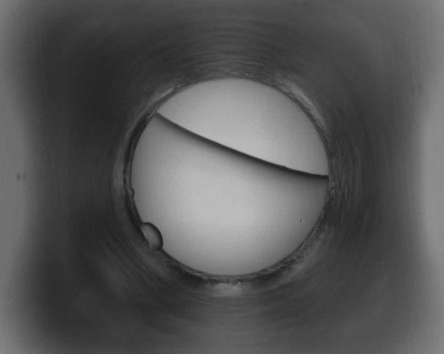 X0000100390394200806060838
