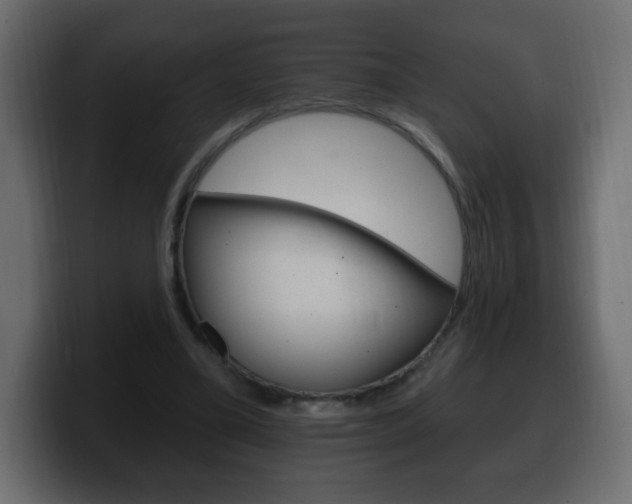 X0000100390395200806060838