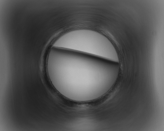 X0000100390396200806060838