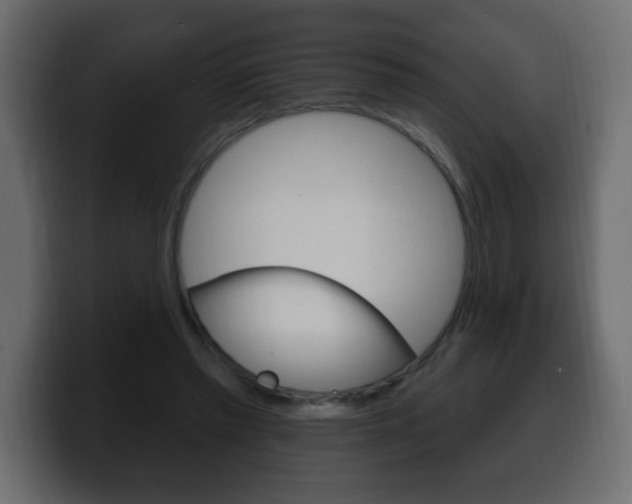 X0000100390397200806060838