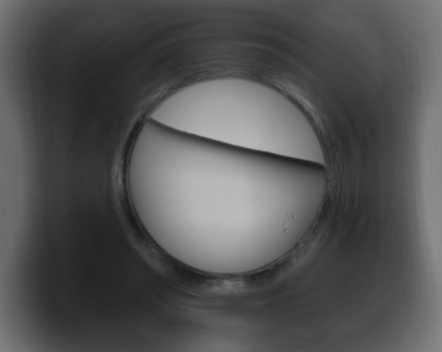 X0000100390398200806060838