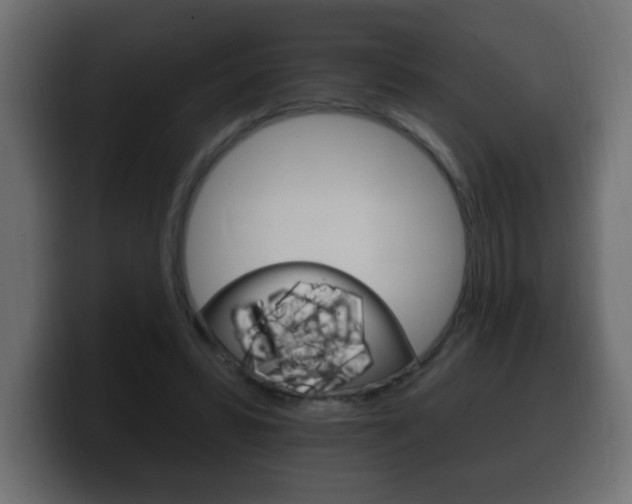 X0000100390399200806060838