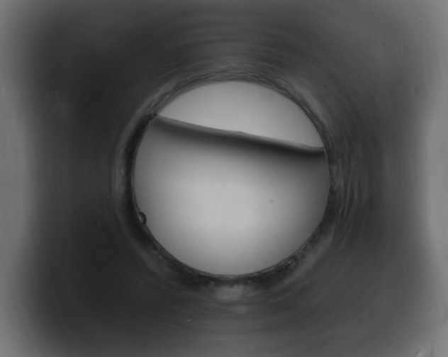 X0000100390400200806060838