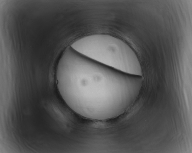 X0000100390402200806060838