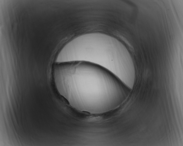 X0000100390403200806060838