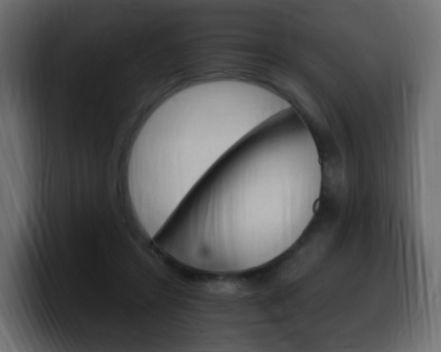 X0000100390404200806060838