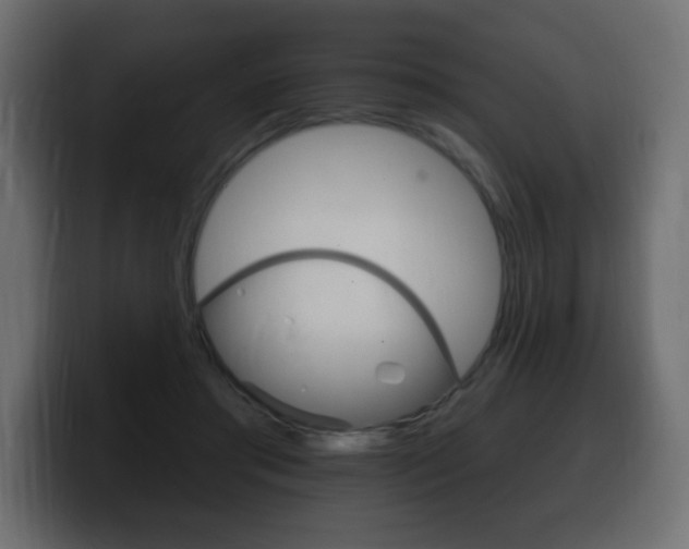 X0000100390405200806060838