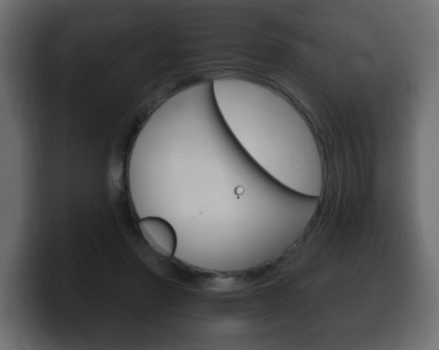 X0000100390406200806060838