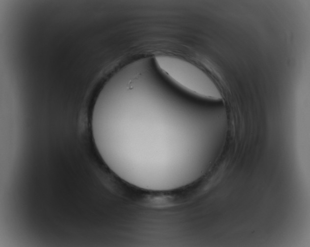 X0000100390407200806060838