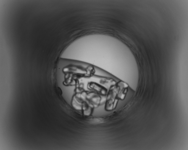 X0000100390409200806060838