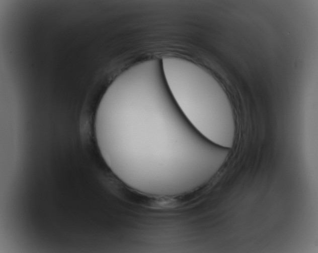 X0000100390410200806060838